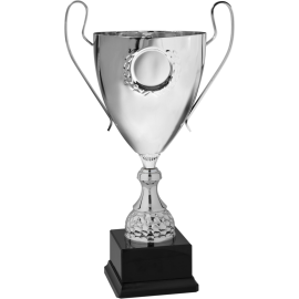 Coppa con manici cm 48