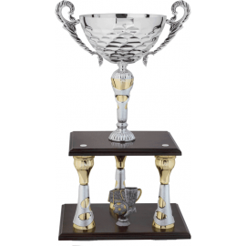 Trofeo con manici cm 65
