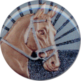 Conf. 60 adesivi resinati