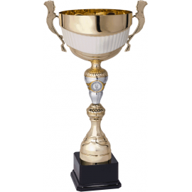 Coppa con manici cm 38