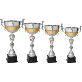 Serie di 4 Coppe