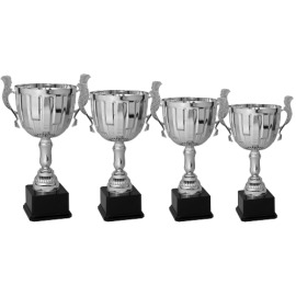 Serie di 4 Coppe