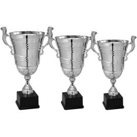 Serie di 3 Coppe