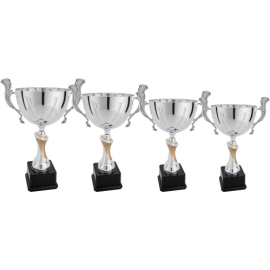 Serie di 4 Coppe