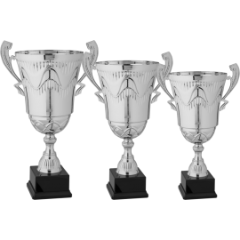 Serie di 3 Coppe