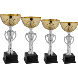 Serie di 4 coppe