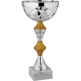Coppa cm  32