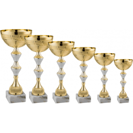 Serie di 6 Coppe