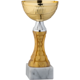 Coppa cm 18 m.6