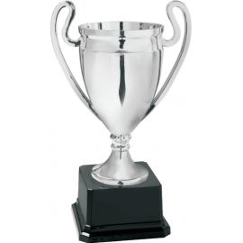 Coppa con manici cm 20