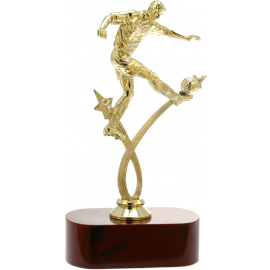 Trofeo calcio cm 22