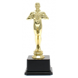 Trofeo successo Oscar cm 19